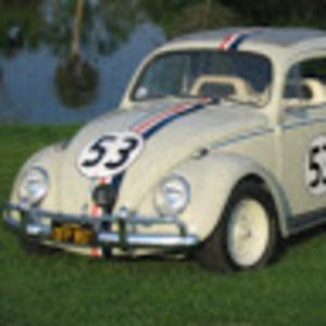 Meet your Posher, Signs